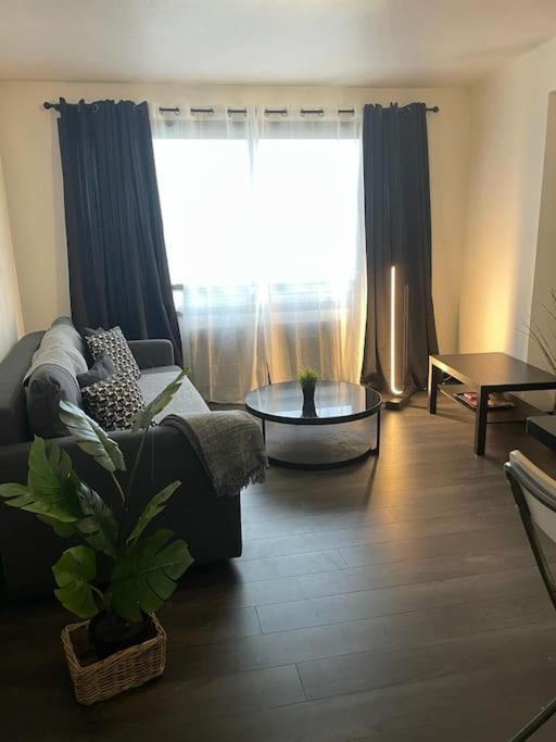 Apartament Le Cocon Des Horizons Rennes Zewnętrze zdjęcie